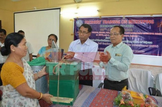 Agriculture minister Aghore Debbarma inaugurates fresher’s training program on bee keeping Agriculture minister Aghore Debbarma inaugurates fresher’s training program on bee keeping